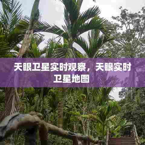 天眼卫星实时观察,天眼实时卫星地图