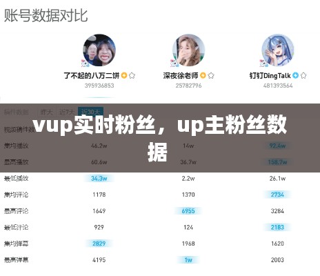 vup实时粉丝,up主粉丝数据