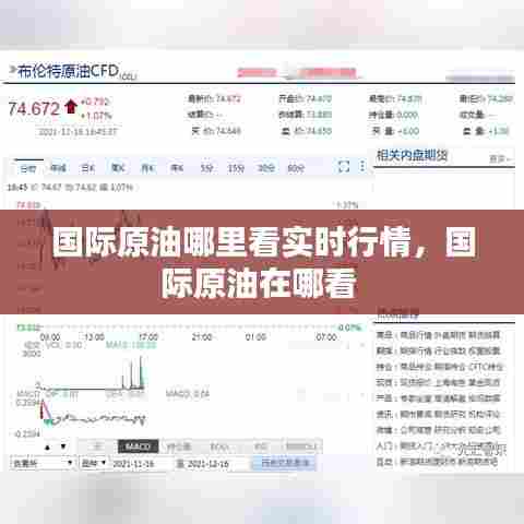 国际原油哪里看实时行情,国际原油在哪看