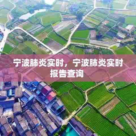 宁波肺炎实时，宁波肺炎实时报告查询 