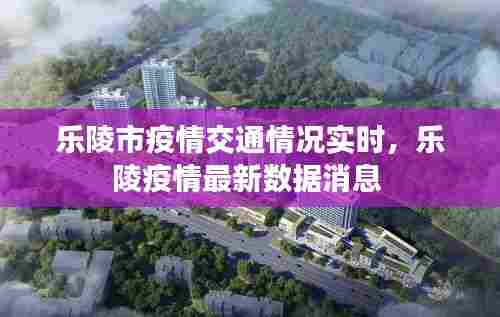 乐陵市疫情交通情况实时,乐陵疫情最新数据消息