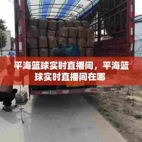 平海篮球实时直播间,平海篮球实时直播间在哪