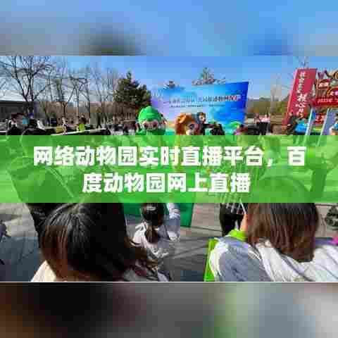 网络动物园实时直播平台,百度动物园网上直播