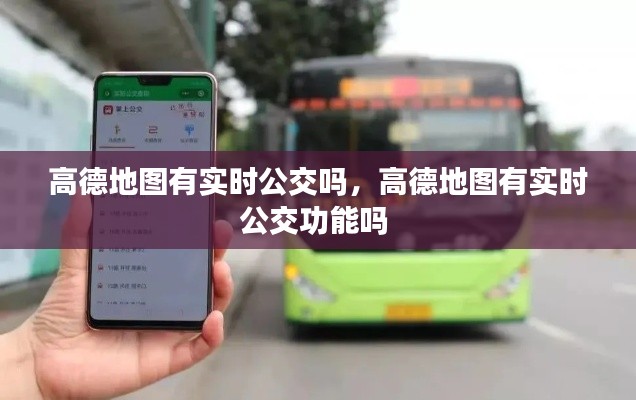 高德地图有实时公交吗,高德地图有实时公交功能吗