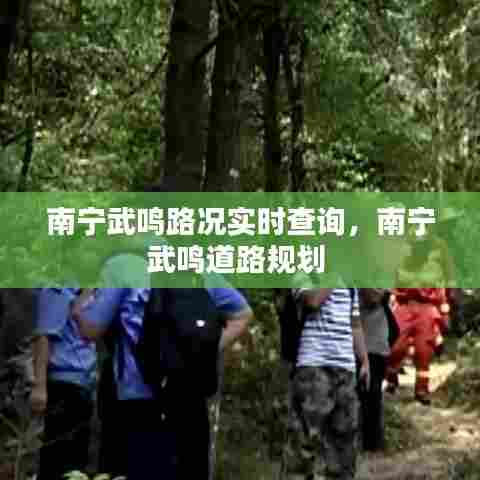 南宁武鸣路况实时查询,南宁武鸣道路规划