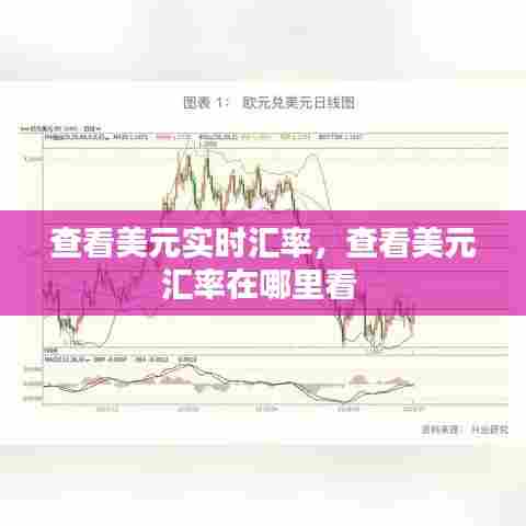 查看美元实时汇率,查看美元汇率在哪里看