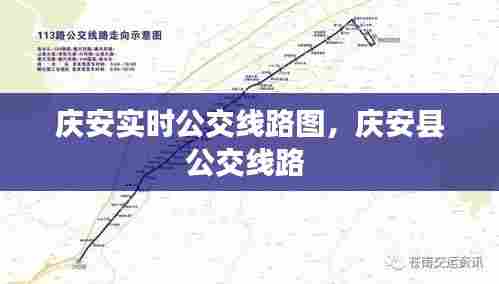 庆安实时公交线路图，庆安县公交线路 