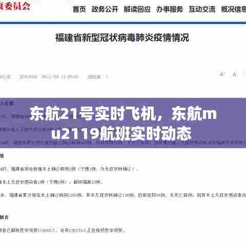 东航21号实时飞机,东航mu2119航班实时动态