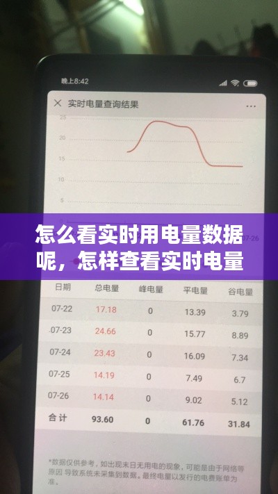 怎么看实时用电量数据呢,怎样查看实时电量电费