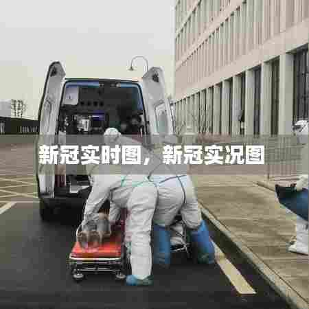 新冠实时图,新冠实况图