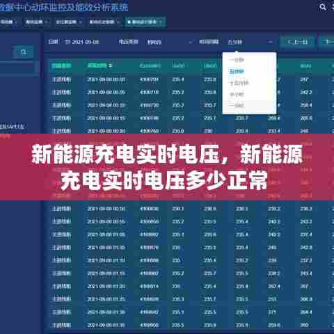 新能源充电实时电压，新能源充电实时电压多少正常 