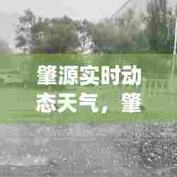 肇源实时动态天气,肇源县天气预报?
