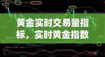 采椽不斫 第7页