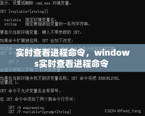 实时查看进程命令,windows实时查看进程命令