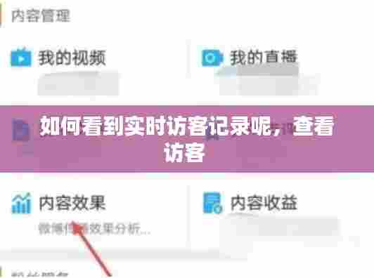 如何看到实时访客记录呢,查看访客