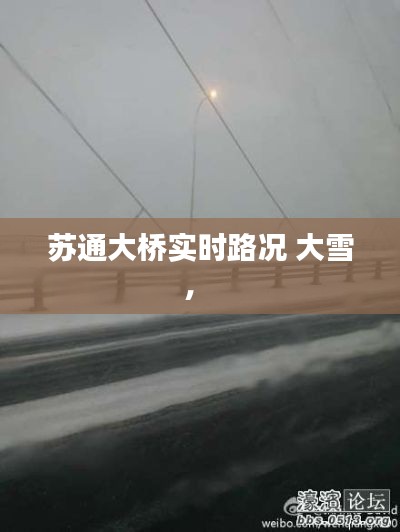 苏通大桥实时路况 大雪， 