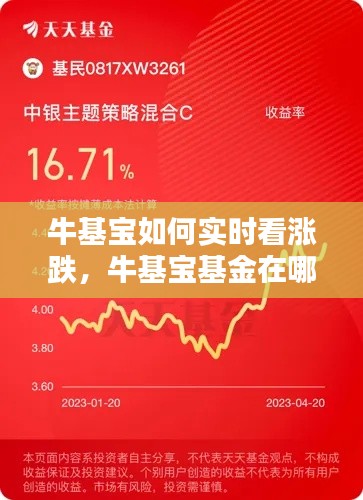 牛基宝如何实时看涨跌,牛基宝基金在哪里买