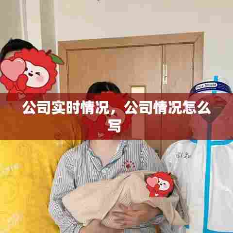 公司实时情况,公司情况怎么写
