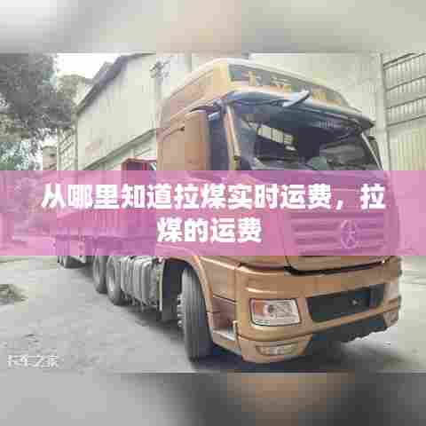 从哪里知道拉煤实时运费，拉煤的运费 