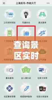 查询景区实时人数,查看景区人数