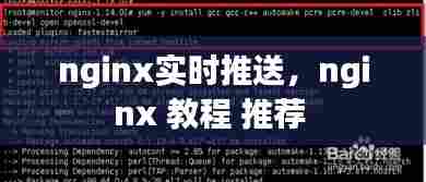 nginx实时推送,nginx 教程 推荐