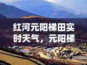 红河元阳梯田实时天气,元阳梯田一周天气