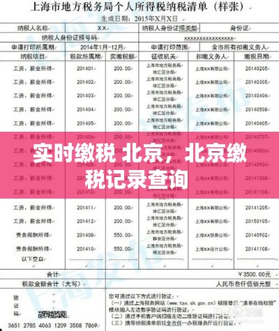 实时缴税 北京,北京缴税记录查询