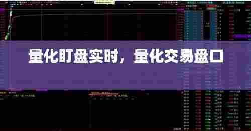 量化盯盘实时,量化交易盘口