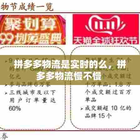 拼多多物流是实时的么,拼多多物流慢不慢