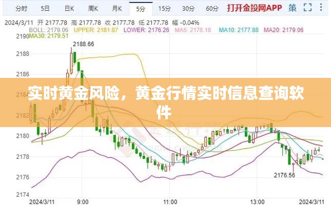 实时黄金风险,黄金行情实时信息查询软件