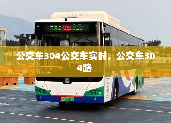 公交车304公交车实时,公交车304路
