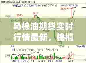 马棕油期货实时行情最新,棕榈油期货实时行情
