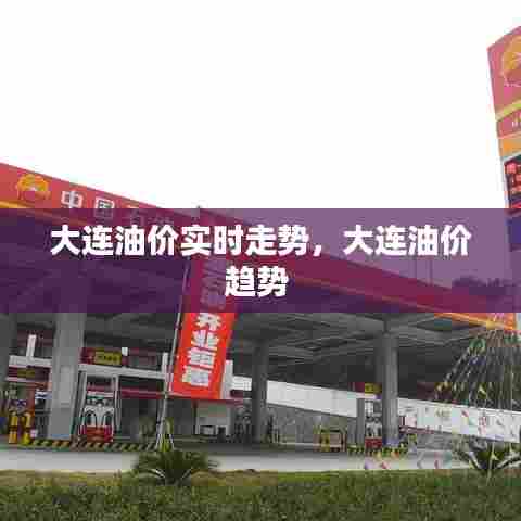 大连油价实时走势,大连油价趋势