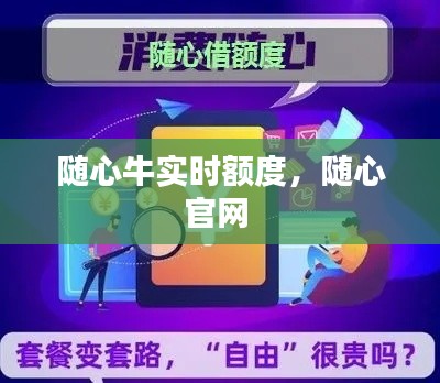 随心牛实时额度，随心官网 