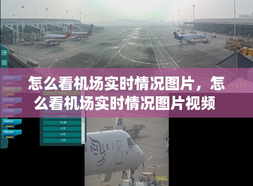 怎么看机场实时情况图片,怎么看机场实时情况图片视频