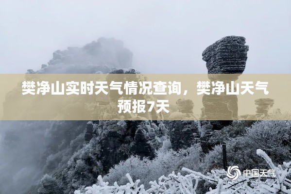 樊净山实时天气情况查询,樊净山天气预报7天