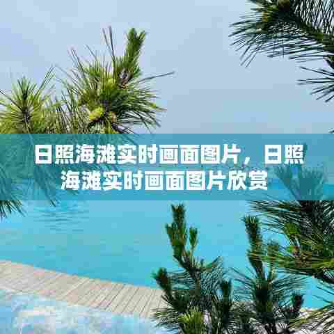 日照海滩实时画面图片，日照海滩实时画面图片欣赏 