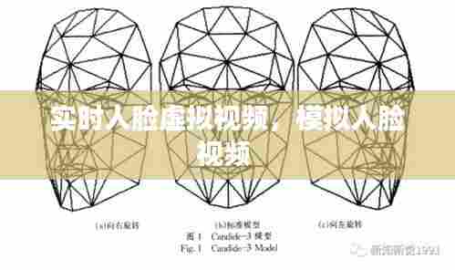 实时人脸虚拟视频，模拟人脸视频 