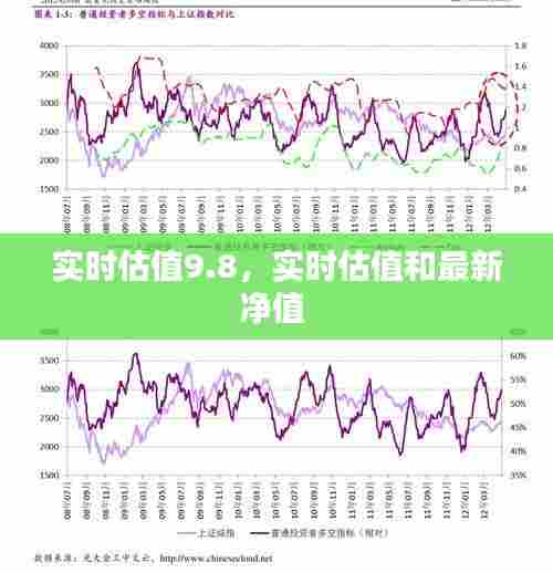 实时估值9.8,实时估值和最新净值
