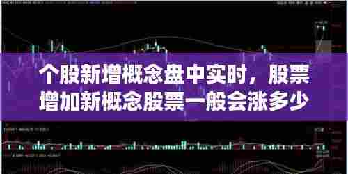 个股新增概念盘中实时,股票增加新概念股票一般会涨多少