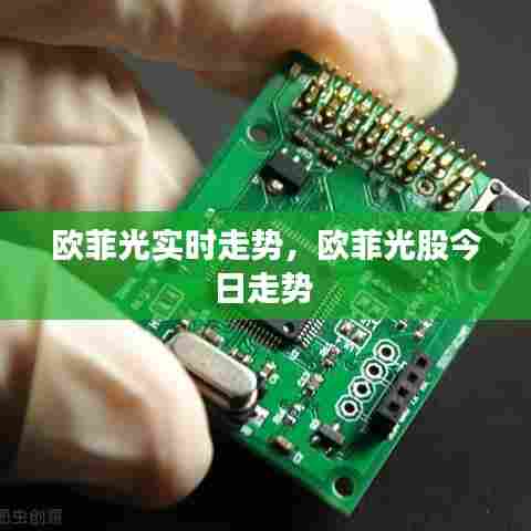 欧菲光实时走势,欧菲光股今日走势