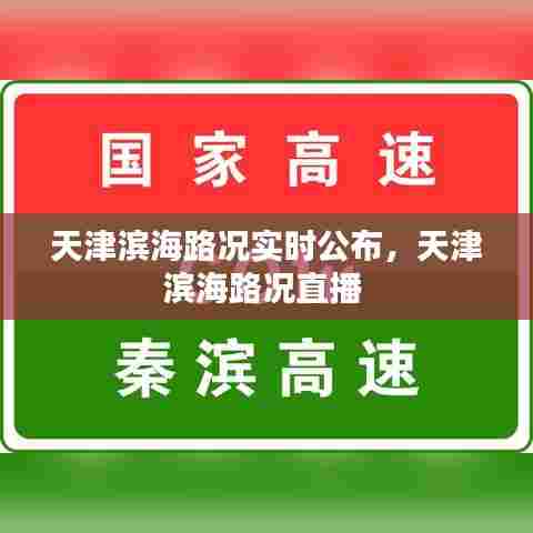 天津滨海路况实时公布,天津滨海路况直播