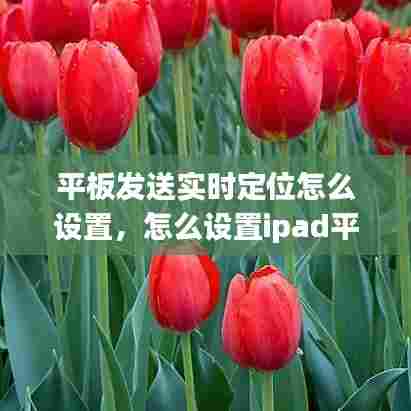 鸷鸟不群 第7页