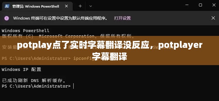 potplay点了实时字幕翻译没反应,potplayer 字幕翻译