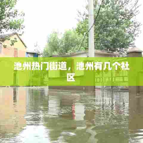 池州热门街道，池州有几个社区 