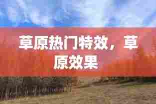 草原热门特效，草原效果 