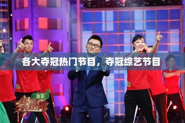 各大夺冠热门节目，夺冠综艺节目 