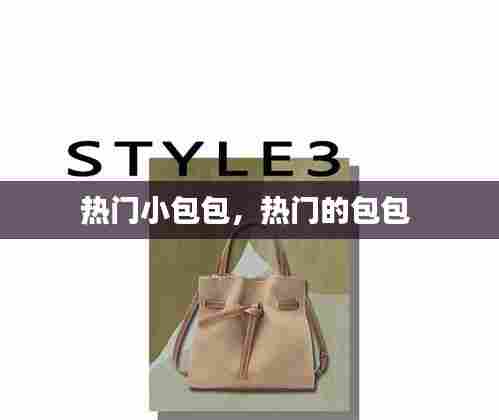 热门小包包,热门的包包