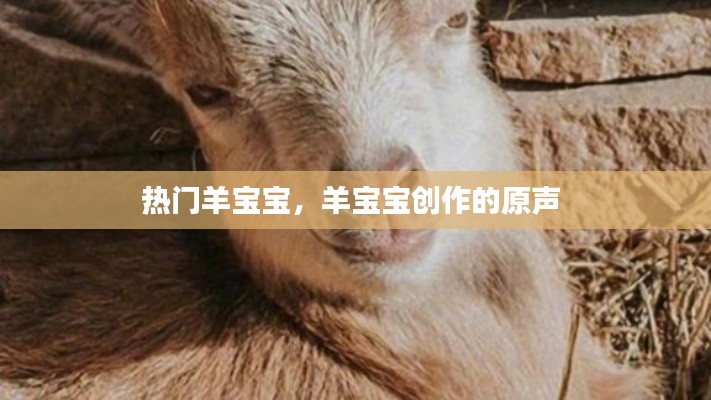 热门羊宝宝,羊宝宝创作的原声