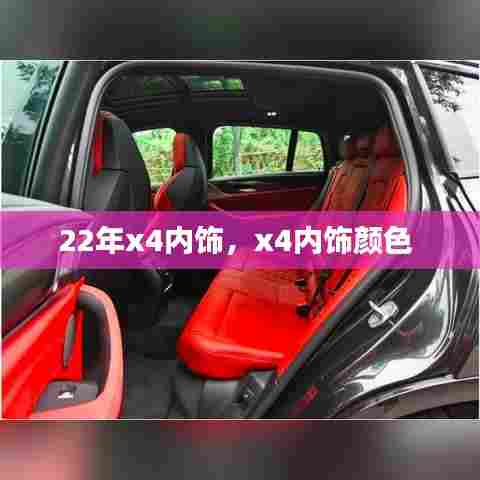22年x4内饰，x4内饰颜色 